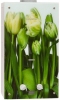 Газовая колонка GENBERG 210.01 Тюльпаны